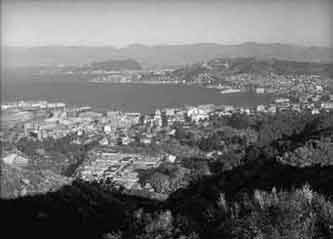 Wellington City from ZLW Tinakori Hill