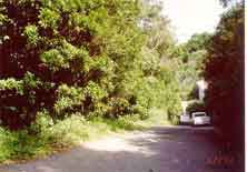 Looking down the access road