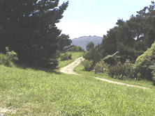 Top Corner Along  Ridge 2006