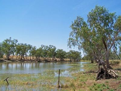 LookingdowntheCamoowealWaterhole.jpg