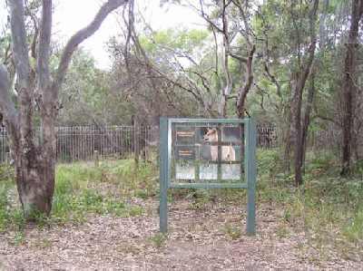 Dingo-warning-sign.jpg