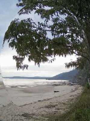 Fish-eye-view-of-beach.jpg