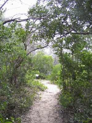 Pools-walkway.jpg