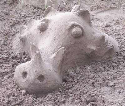 Sand-sculpture-at-Wanggoolb.jpg