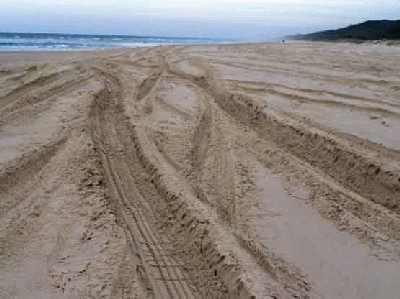 Sand-trax's.jpg