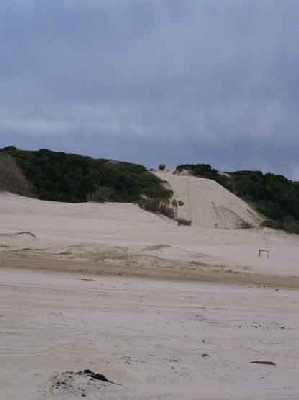 Waddy-Point-sand-dunes.jpg