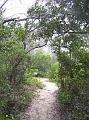 Pools-walkway