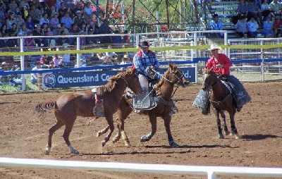 Barebackbronc.jpg