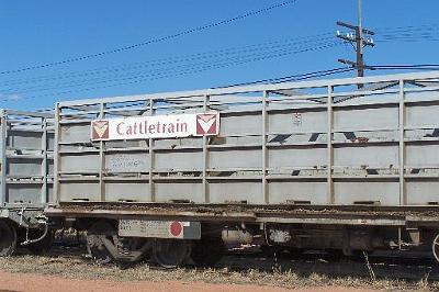 Cattletrain.jpg